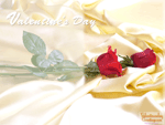 Valentines day Wallpapers
