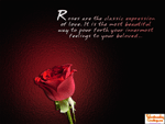 Valentines day Wallpapers