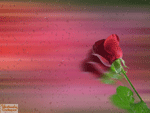Valentines day Wallpapers